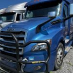 2019 Freightliner Cascadia · Unit 167